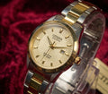 Elegant Simplicity – Citizen Classic Two-Tone Watch