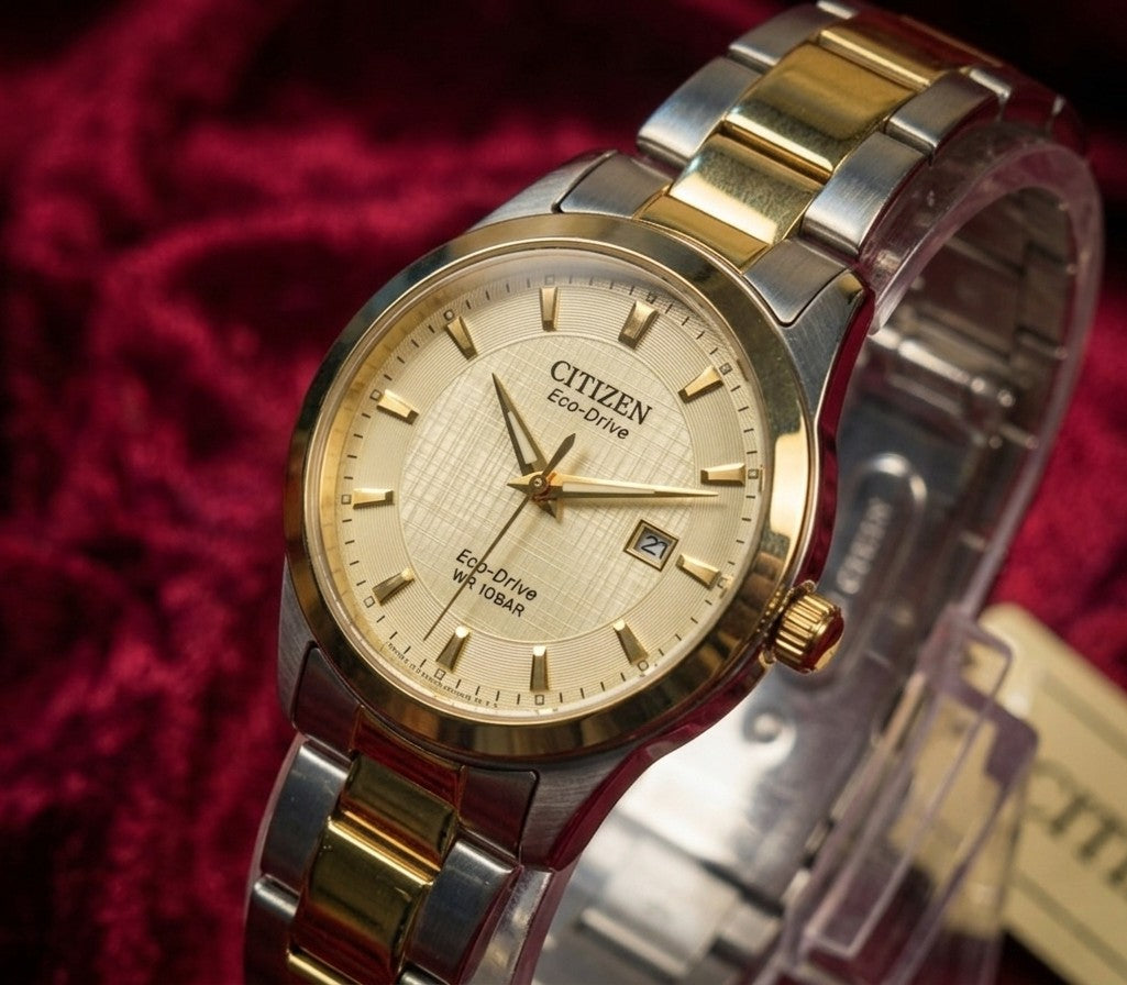 Elegant Simplicity – Citizen Classic Two-Tone Watch