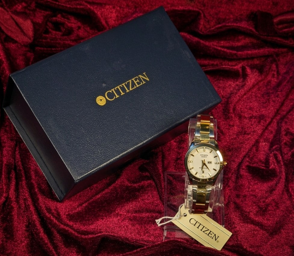 Elegant Simplicity – Citizen Classic Two-Tone Watch