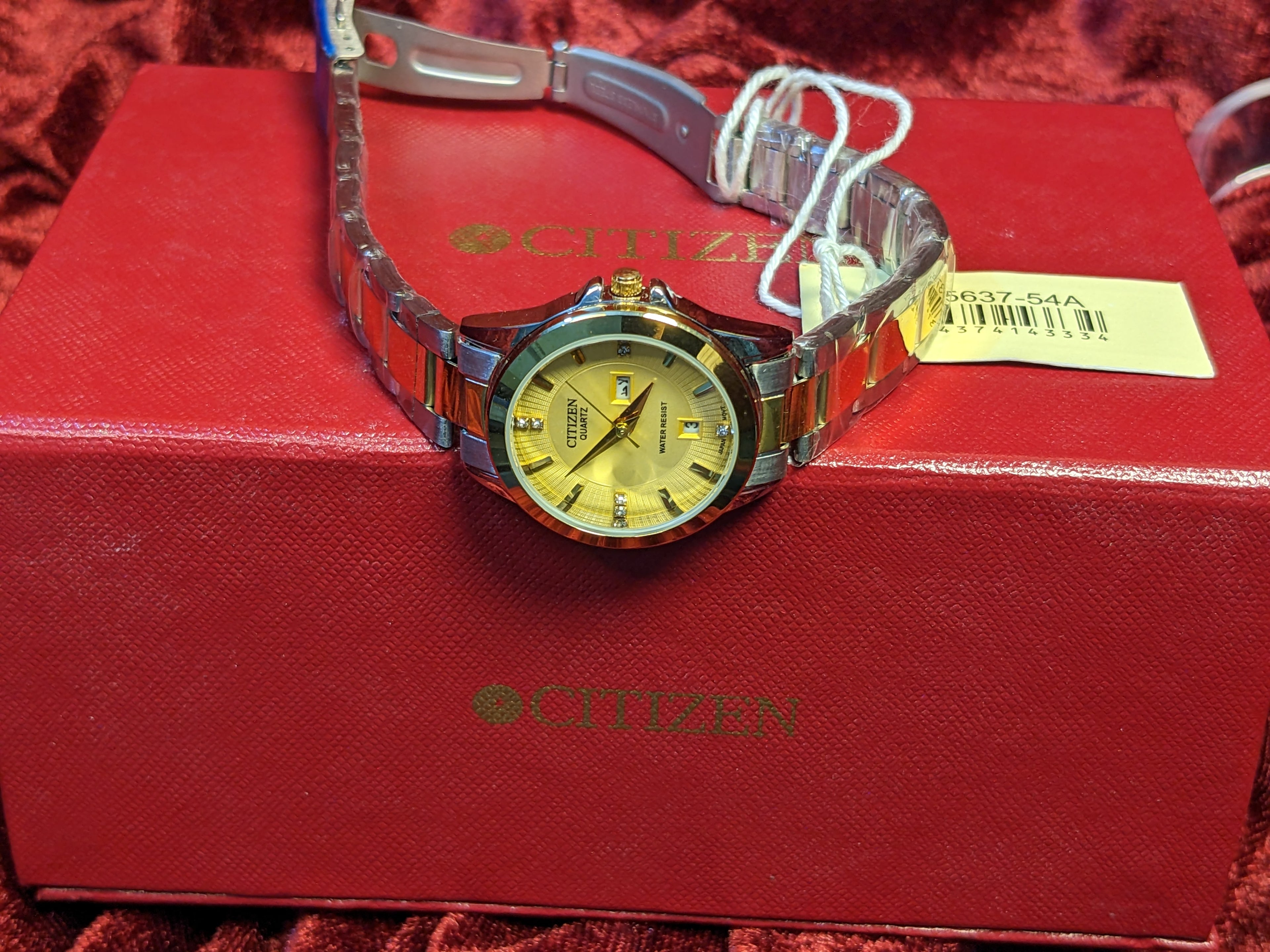 Elegant Simplicity – Citizen Classic Two-Tone Watch